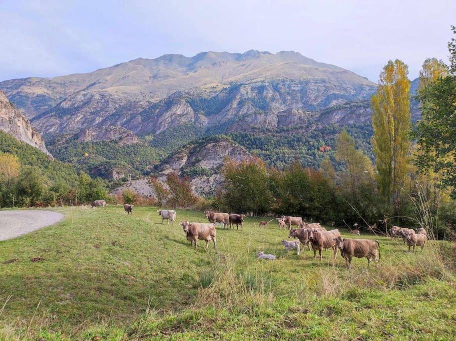 El Refugio De Tena - Tucasaenlospirineos Escarrilla Bagian luar foto