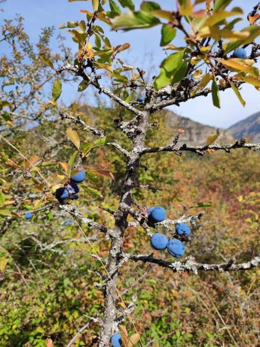 El Refugio De Tena - Tucasaenlospirineos Escarrilla Bagian luar foto